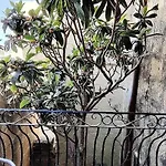 Casa de Férias Manuel's Farmhouse Kerċem
