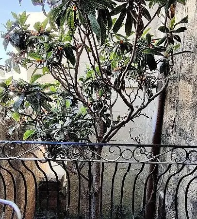 Dom wakacyjny Manuel's Farmhouse Kerċem