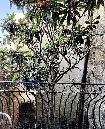 Tatil Evi Manuel's Farmhouse Kerċem